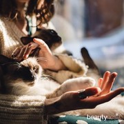 Pecinta Kucing? Penyakit Umum Ini Bisa Diderita Kucing Kesayanganmu