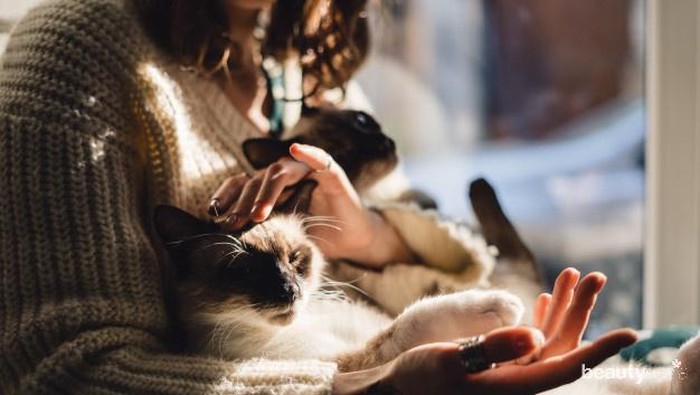 Pecinta Kucing? Penyakit Umum Ini Bisa Diderita Kucing Kesayanganmu