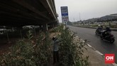 Kebun Sayuran Beton Petugas PPSU menyiram sayur yang ditanam di bawah jalan tol Becakayu, Jakarta. Minggu 13 Juni 2020. CNN Indonesia/Adhi Wicaksono