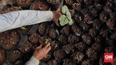 Kebun Sayuran Beton Petugas PPSU menyiram sayur yang ditanam di bawah jalan tol Becakayu, Jakarta. Minggu 13 Juni 2020. CNN Indonesia/Adhi Wicaksono