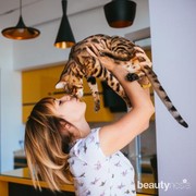 Cara Tunjukkan Cinta pada Kucing Biar Bersahabat