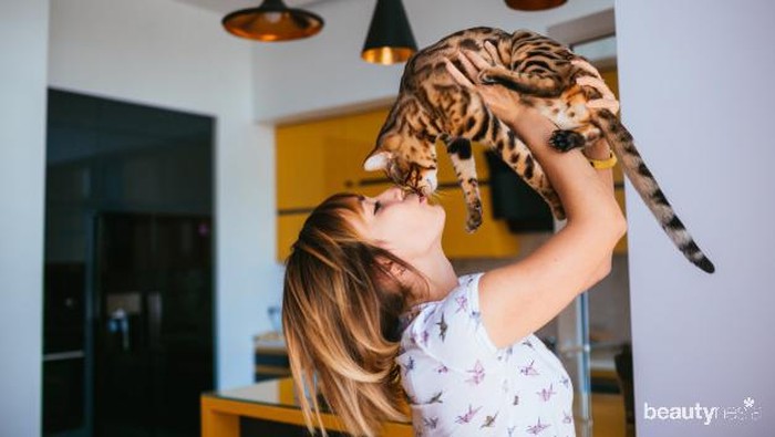 Cara Tunjukkan Cinta pada Kucing Biar Bersahabat