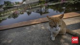 Taman Di DKI Jakarta Kembali Dibuka Suasana di Taman Apung, Kelapa Dua Wetan, Jakarta, Sabtu, 13 Juni 2020. Pemerintah Provinsi (Pemprov) DKI Jakarta membuka kembali 16 tempat ruang terbuka hijau (RTH) untuk umum pada hari ini dengan protokol kesehatan ketat, seperti membatasi jumlah pengunjung, mewajibkan pengunjung mengisi data, mewajibkan menggunakan masker dan cuci tangan terlebih dahulu, tidak membawa anak kecil, serta mewajibkan pengunjung mengikuti alur masuk dan keluar yang telah dibuat. CNN Indonesia/Bisma Septalisma