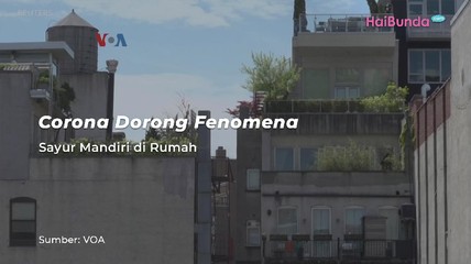 Detik Network
