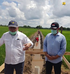  Lumbung Pangan RI: dari Orde Baru, Dilanjutkan SBY & Jokowi