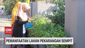 VIDEO: Pemanfaatan Lahan Pekarangan Sempit