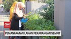 VIDEO: Pemanfaatan Lahan Pekarangan Sempit