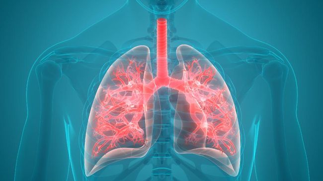Orang yang merokok dan vaping harus mewaspadai penyakit popcorn lung atau paru-paru popcorn. Apa itu penyakit paru-paru popcorn?