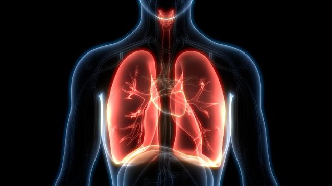 Perhimpunan Dokter Paru Indonesia