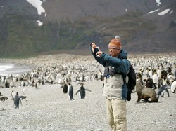 Workcation di Ujung Dunia, Ngitungin Penguin Antartika