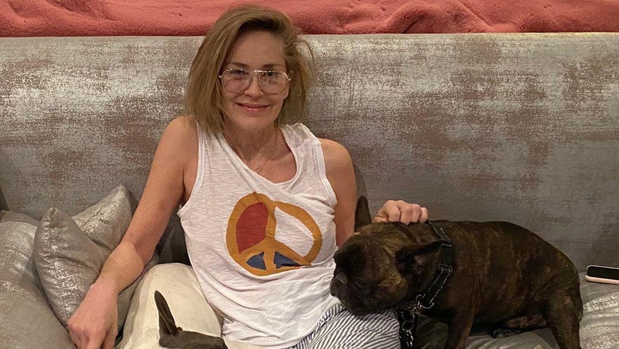 Sharon Stone