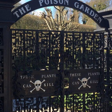 Anti Mainstream, Ada Kebun Bunga Beracun Mengerikan di Inggris