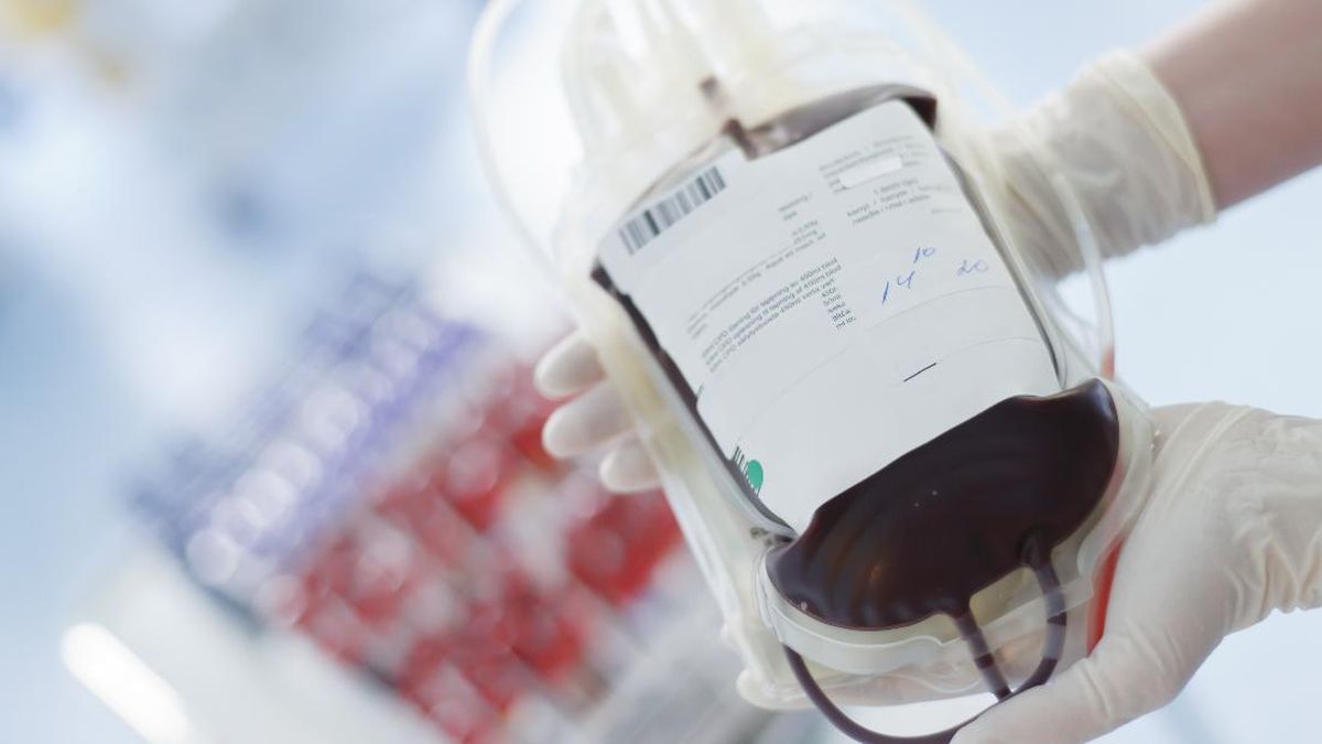 Mengenal Golden Blood, Golongan Darah Hanya Dimiliki 50 Orang di Dunia