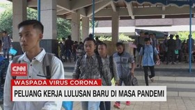 VIDEO: Peluang Kerja Lulusan Baru di Masa Pandemi