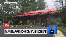 VIDEO: Taman Safari Bogor Kembali Beroperasi