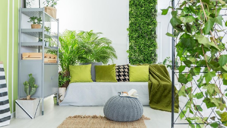 Green wall, eco friendly vertical garden, wall plants decoration
