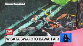 VIDEO: Wisata Swafoto Bawah Air