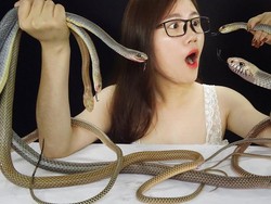 Ikan Penis Sampai Ular, 5 Video ASMR Ini Pakai Makanan Eksotik