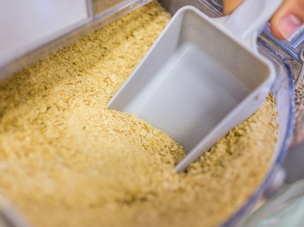 Amankah Bayi Mengonsumsi Nutritional Yeast atau Kaldu Jamur?