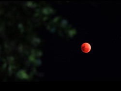 Bali Akan Alami Gerhana Bulan Total 8 November: Cek Waktu-Dampaknya