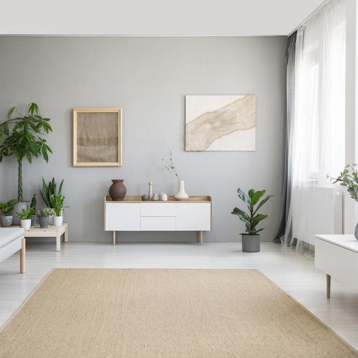 <p>Karpet yang warnanya berbeda dengan dinding menjadi point of interest di dalam ruangan. (Foto: iStock)</p>