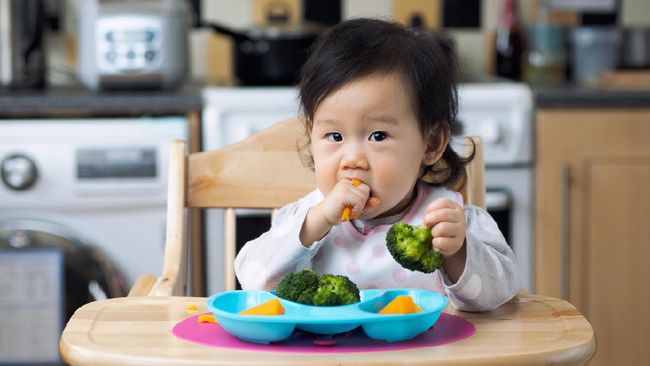 5 Makanan untuk Memenuhi Kebutuhan Nutrisi Anak  Batita 