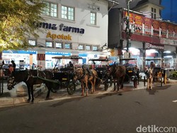 Karena COVID-19, Kusir Andong Malioboro Berkurang 153 Orang
