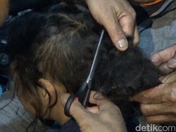 Ini Dia yang Berbeda dari Tradisi Cukur Gimbal Anak Dieng Saat Pandemi