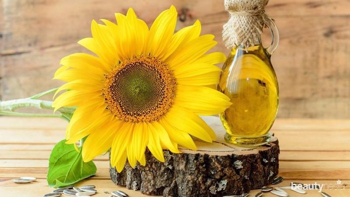 5 Manfaat Luar Biasa Sunflower Oil untuk Kecantikan Kulit