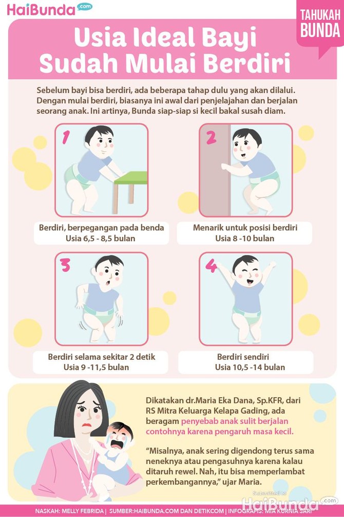 Usia Ideal Bayi  Sudah Mulai  Berdiri 