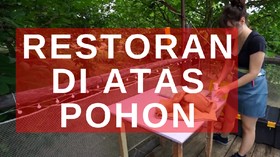 VIDEO: Restoran di Atas Pohon