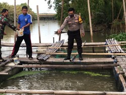 Antisipasi Pasokan Saat Pandemi, Warga Makassar Buat Keramba Ikan-Ladang