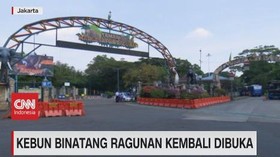 VIDEO: Kebun Binatang Ragunan Kembali Dibuka