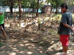 Penjaga Makam Sempat Lihat Rombongan Sebelum Penemuan Bungkusan Kain Kafan
