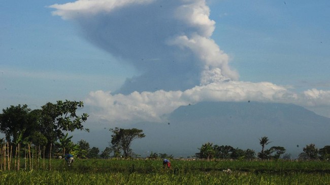 Pemkab Sleman menetapkan status darurat siaga bencana erupsi Gunung Merapi menyusul status aktivitas gunung yang menjadi siaga.