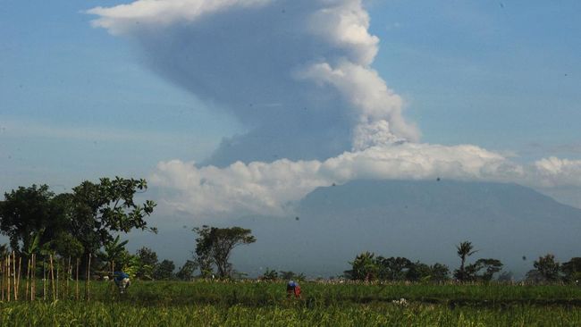 Erupsi Gunung Merapi terlihat dari Sawit, Boyolali, Jawa Tengah, Minggu (21/6/2020). Berdasarkan data pengamatan Balai Penyelidikan dan Pengembangan Teknologi Kebencanaan Geologi (BPPTKG), terjadi erupsi Gunung Merapi pada pukul 09.13 WIB dengan aplitudo 75 mm, durasi 328 detik dan tinggi kolom erupsi kurang lebih 6.000 meter dari puncak. ANTARA FOTO/Aloysius Jarot Nugroho/foc.