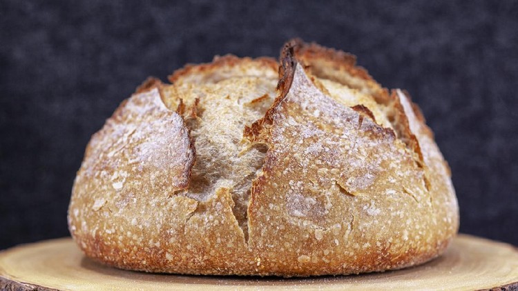 Ilustrasi Cream Cheese Garlic Bread Homemade artisan loaf of sourdough bread broule with crust on a wooden board