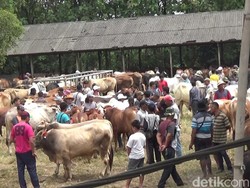 Pasar Hewan di Purwakarta Ramai, Banyak Warga Tak Pakai Masker