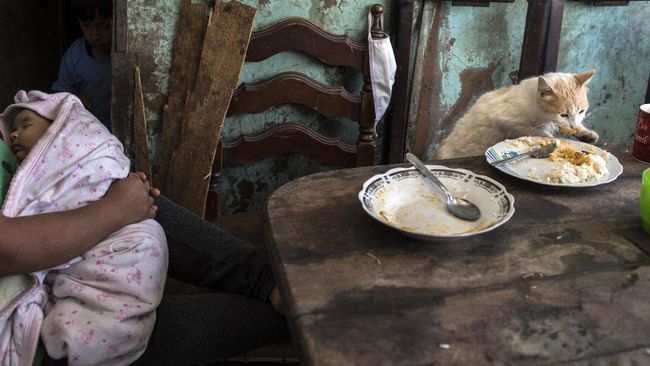 Consuelo Pascacio cradles her baby Anyelina as the family pet Demon helps himself to leftovers, in the Nueva Esperanza neighborhood of Lima, Peru, Monday, June 8, 2020. Pascacio's baby was born on March 31 but she has not been able to register her because the public records office is closed due to the government lockdown to curb the spread of the new coronavirus. (AP Photo/Rodrigo Abd)