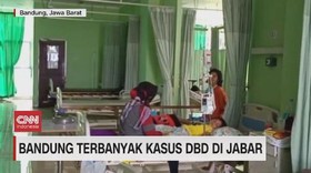 VIDEO: Bandung Terbanyak Kasus DBD di Jabar