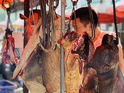 Ngeri! Pemandangan Anjing yang Dibantai Untuk Jadi Santapan Warga China