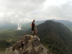 Perhutani Sulap Kebun Sayur Gunung Wayang Bandung Jadi Hutan Lagi