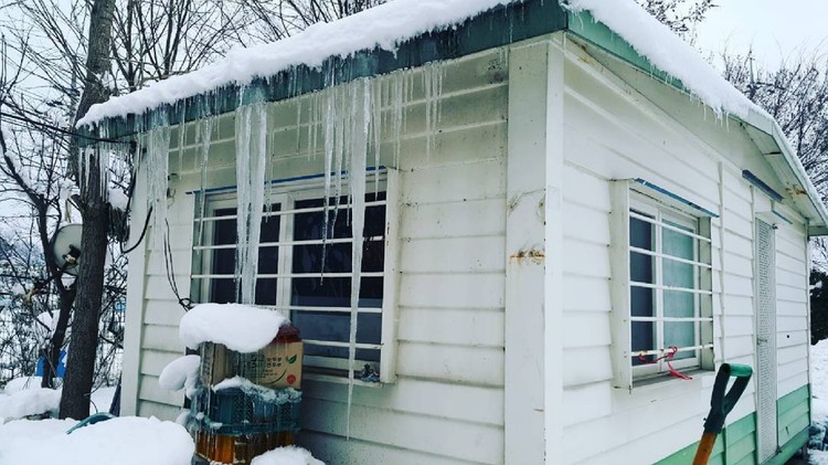 Rumah kontainer di Korea