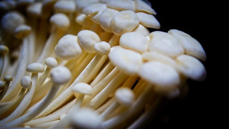 Enoki mushrooms closeup