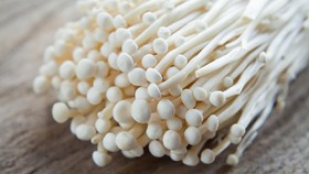 3 Fakta Penting Soal Bakteri Listeria