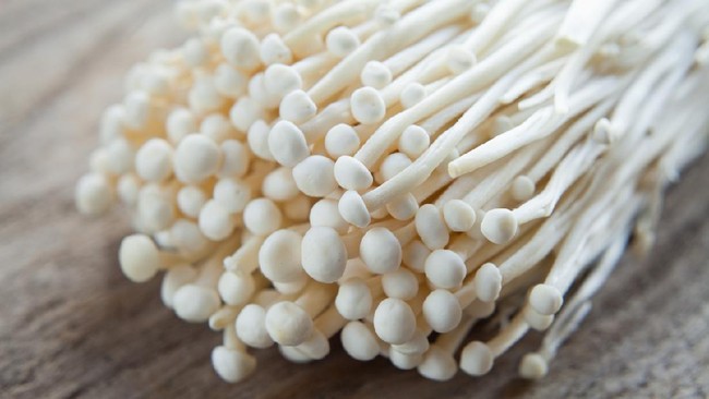 jamur enoki