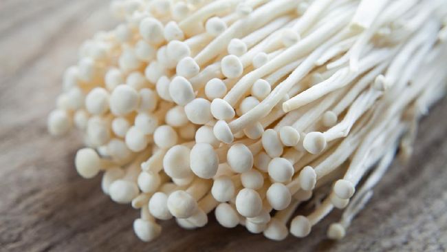 jamur enoki jamur enoki