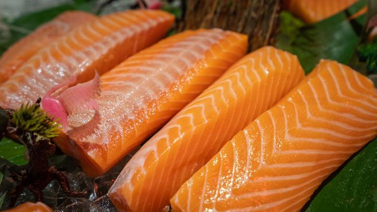 Salmon