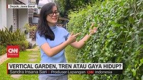 VIDEO: Berkebun di Rumah dengan Vertical Garden