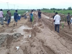 Rusak Parah, Jalan di Riau Ditanami Warga Pohon Pisang hingga Sawit